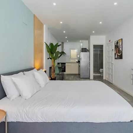 Harmony セトゥーバル